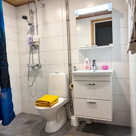 Northern Lights * Rovaniemi