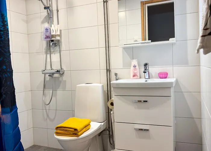 Northern Lights * רובניימי